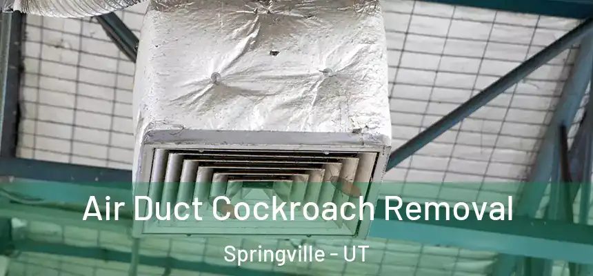  Air Duct Cockroach Removal Springville - UT
