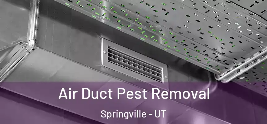  Air Duct Pest Removal Springville - UT