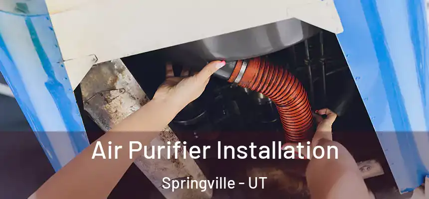  Air Purifier Installation Springville - UT