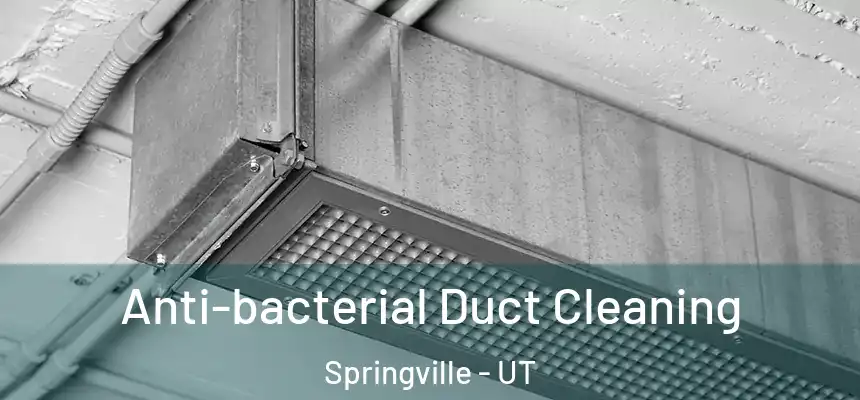 Anti-bacterial Duct Cleaning Springville - UT