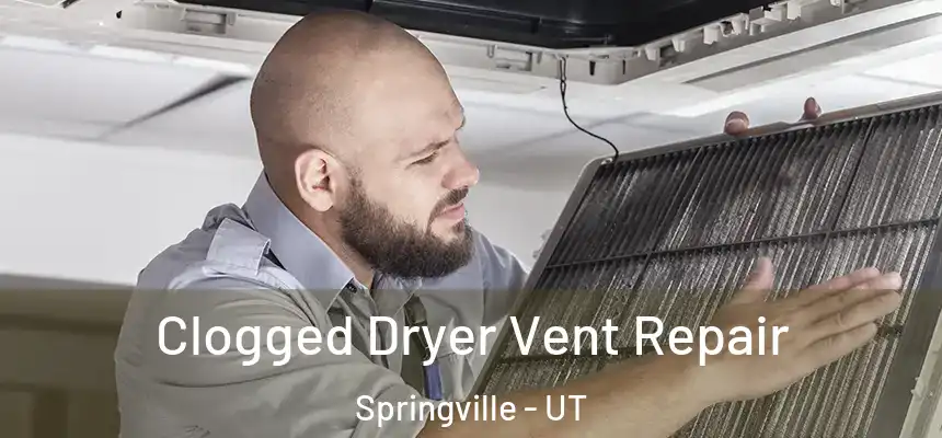 Clogged Dryer Vent Repair Springville - UT