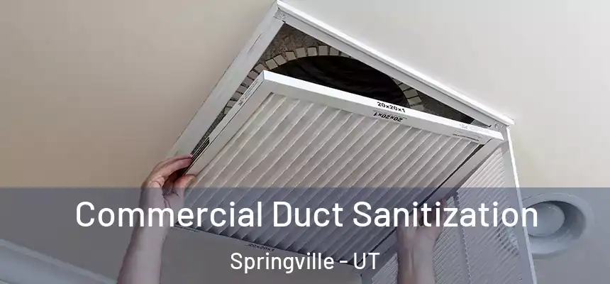 Commercial Duct Sanitization Springville - UT