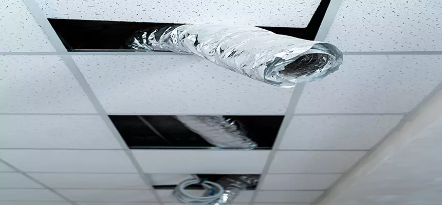 Affordable HVAC Sanitizing After Pest Removal in Springville