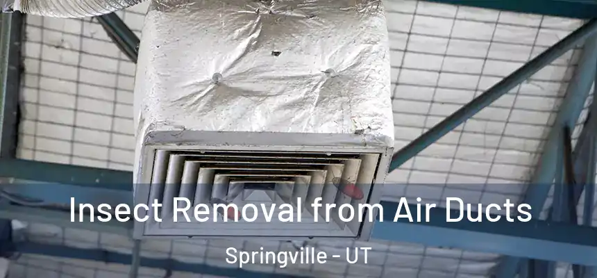  Insect Removal from Air Ducts Springville - UT