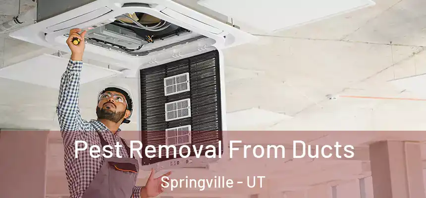  Pest Removal From Ducts Springville - UT