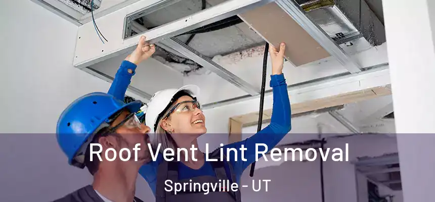  Roof Vent Lint Removal Springville - UT