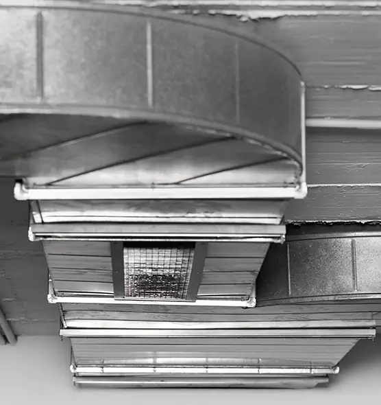 Professional Air Duct Pet Hair Removal in Springville, UT