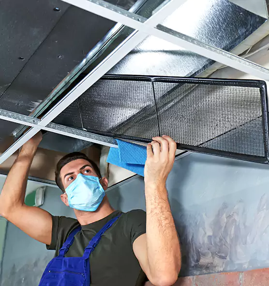 Professional Air Duct Pollen Cleaning in Springville, UT