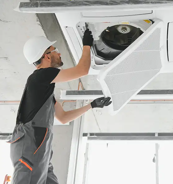 About Air Duct Rodent Removal in Springville, UT