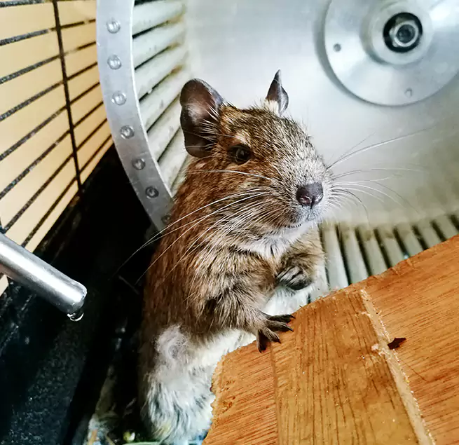 Why Homeowners & Businesses Trust Us Springville, UT?