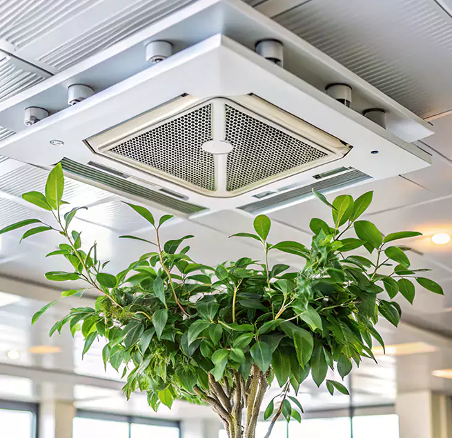 Why Homeowners & Businesses Trust Us in Springville, UT?