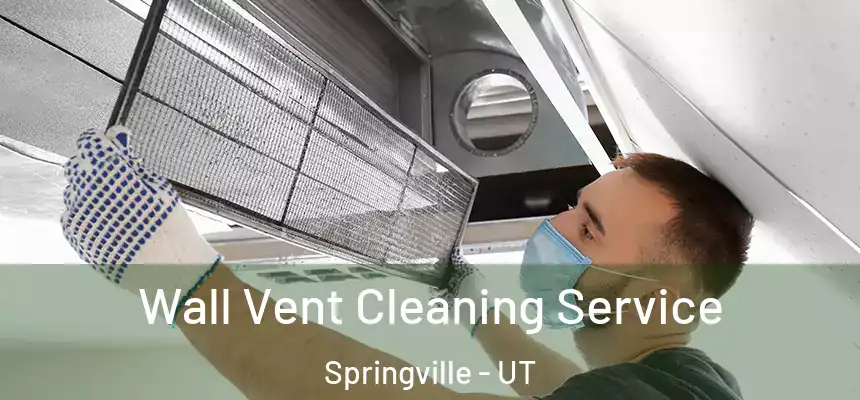Wall Vent Cleaning Service Springville - UT